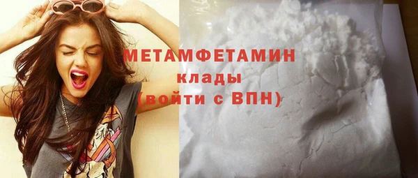 сатива Волоколамск