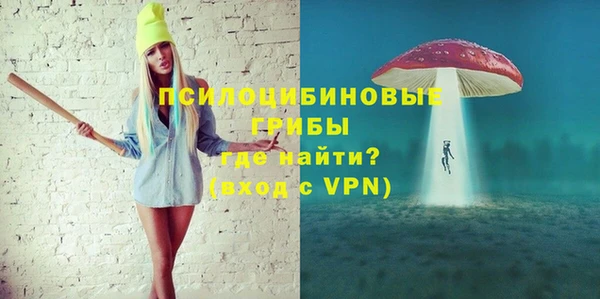 сатива Волоколамск