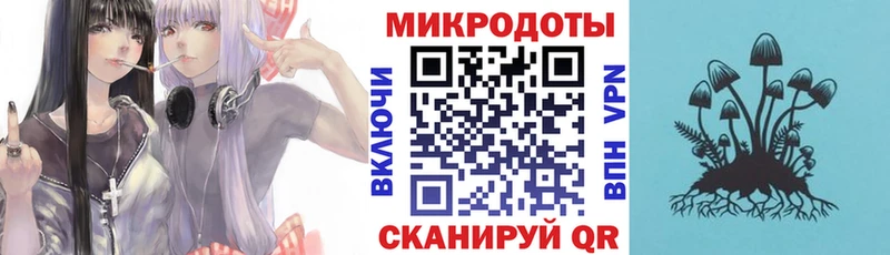 Псилоцибиновые грибы Psilocybe  Исилькуль 